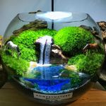 Terrarium Malaysia-SA0460592-W