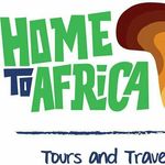 Home To Africa Tours