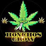 Honchos Grow