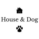 House & Dog