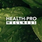 Health-Pro Wellness