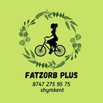 Fatzorb.plus(France original)