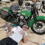 Hunting Harley's Hunting Harley's