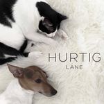 Hurtig Lane VEGAN 🌿 store