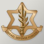 Israel Defense Forces