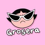 Soy Grosera