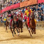 Il Palio Di Siena