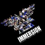 Immersion Mixed Martial Arts