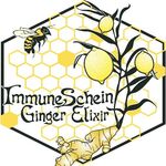 ImmuneSchein Ginger Elixirs