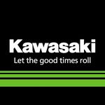 India Kawasaki Motors