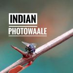 INDIANPHOTOWAALE