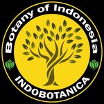 Indobotanica