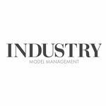 Industry Model Management