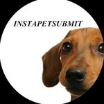 InstaPet