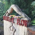 Intuitive Flow Ubud