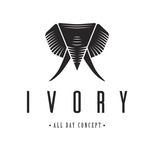 Ivory All Day Concept