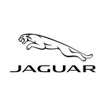 Jaguar Kenya