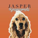 J A S P E R