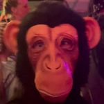 Jay_monkey_man_spain Jay_monkey_man_spain