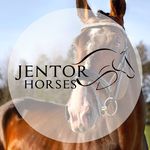 JenTor Horses