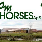 JM Horses ApS