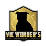 Vic Wonder's