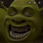 Shrek_tittys101