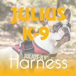 Juliusk9harness.com