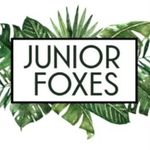 JUNIOR FOXES