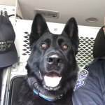 K-9 Kai