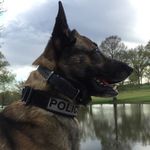 K9 Mac