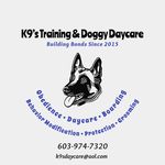 K9’s Training & Doggy Daycare