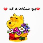 💕بيج حبشكلات🤪عراقيه 💕