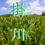 静岡県掛川観光【公式】