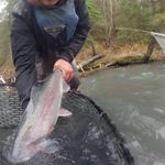 Kenai River Trout Anglers