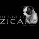 Kennel Zican's Public Page