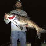 Bowfishing Guide Service