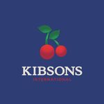 KIBSONS INTERNATIONAL LLC