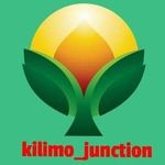 Kilimo Junction