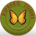 Kipepeo Tours