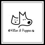 Kitten And Puppies