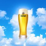 Kloud Beer USA/클라우드 미국 공식 계정