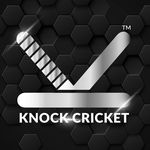 Knock cricket