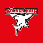 Kölner Haie