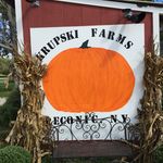 Krupski Farms