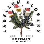 Labellum Flowers
