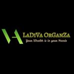 LaDiVa OrGanZa