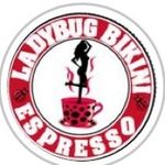 Ladybug Bikini Espresso