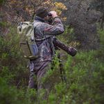 Tony 🌳Fotografo di Natura 🦎