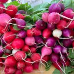 Leelanau Farmers Markets